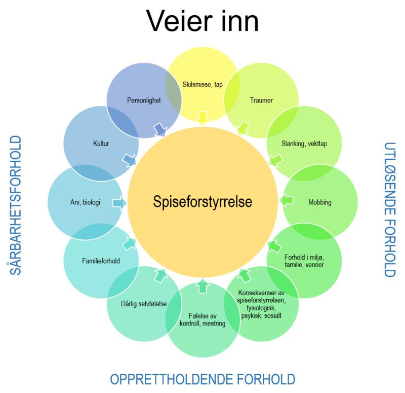 Illustrasjon: En modell som navngir mange ulike disponerende, utløsende og opprettholdende forhold